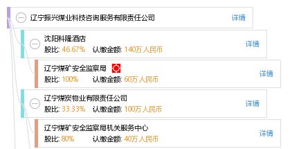 信息技术咨询服务 辽宁振兴煤业科技咨询服务有限责任公司的专业优势