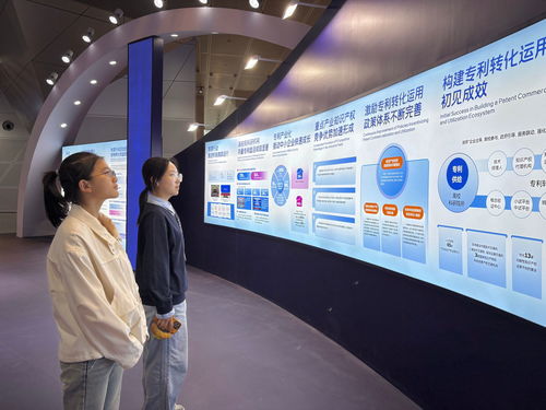 我校师生参加第十四届中国国际专利技术与产品交易会，聚焦信息技术咨询服务创新